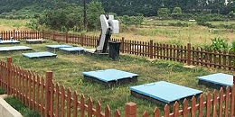 清明已至，达泽环保呼吁大家：文明祭祀，环保先行！
